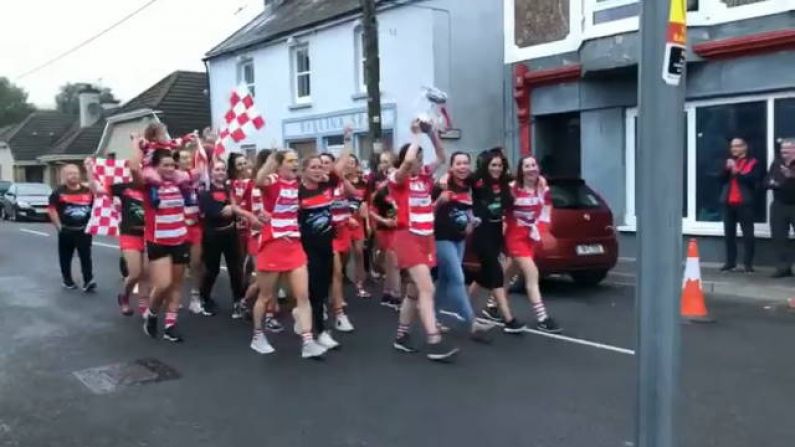 Courcey Rovers Release '21 Years Of Hurt' To Win First Cork Title