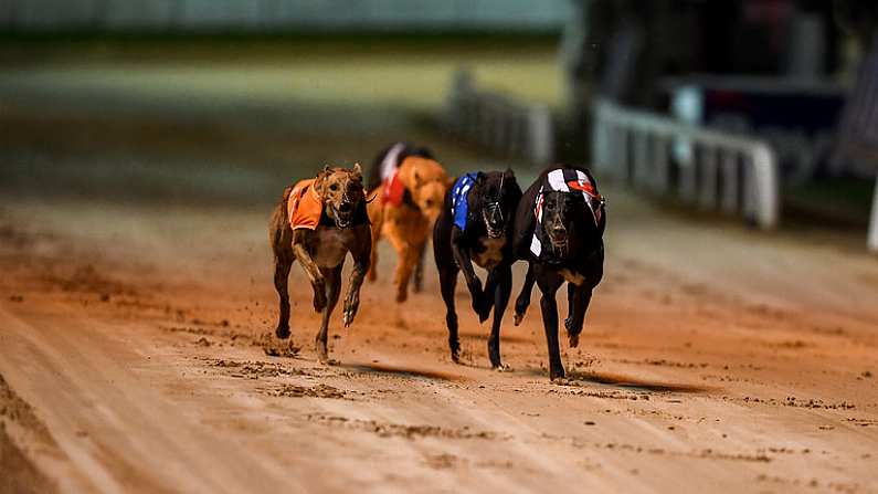 21 September 2019; Lenson Bocko, left, races next to Run Happy and Boylesports King, on its way to winning race ten, The 2019 BoyleSports Irish Greyhound Derby Final during the 2019 Boylesports Irish Greyhound Derby at Shelbourne Park in Dublin. Photo by Harry Murphy/Sportsfile