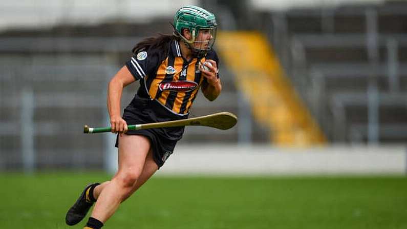 Six-Gun Cats Bring Westmeath Down To Earth