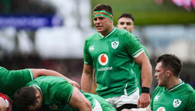 cj stander english language