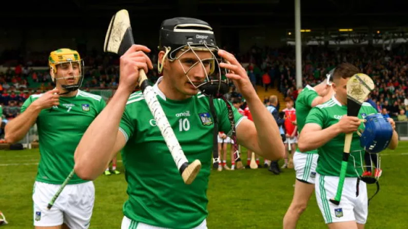 'You'd Hear Everything. John Kiely Is Fairly Animated On The Sideline'