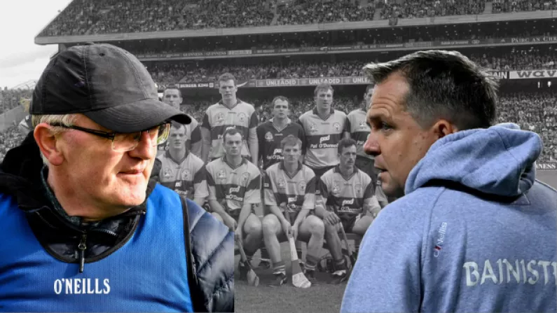 Why Did Davy Fitz And Brian Lohan Fall Out? A Timeline Of A Hurling Feud