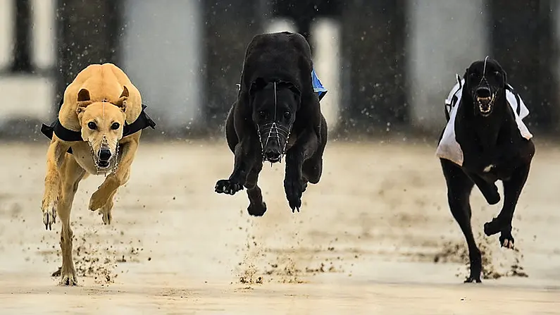 Irish Oaks And St Leger Both Heading For A Dramatic Conclusion