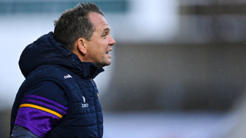 Davy Fitzgerald Calls For Action On 'Abuse' He Faced From Clare Camp