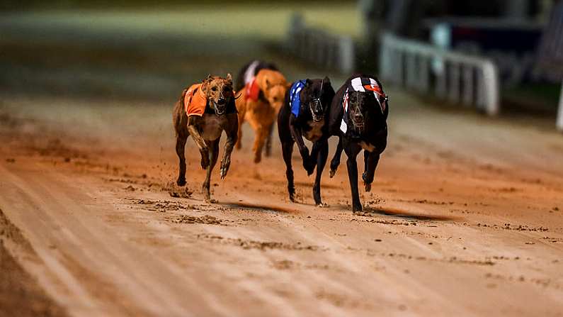 21 September 2019; Lenson Bocko, left, races next to Run Happy and Boylesports King, on its way to winning race ten, The 2019 BoyleSports Irish Greyhound Derby Final during the 2019 Boylesports Irish Greyhound Derby at Shelbourne Park in Dublin. Photo by Harry Murphy/Sportsfile