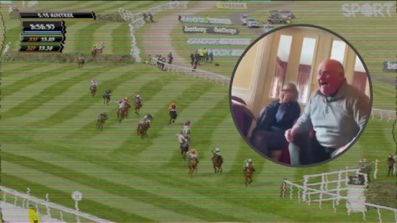 Tipp Man Goes Wild Watching His Former Horse Win Grand National
