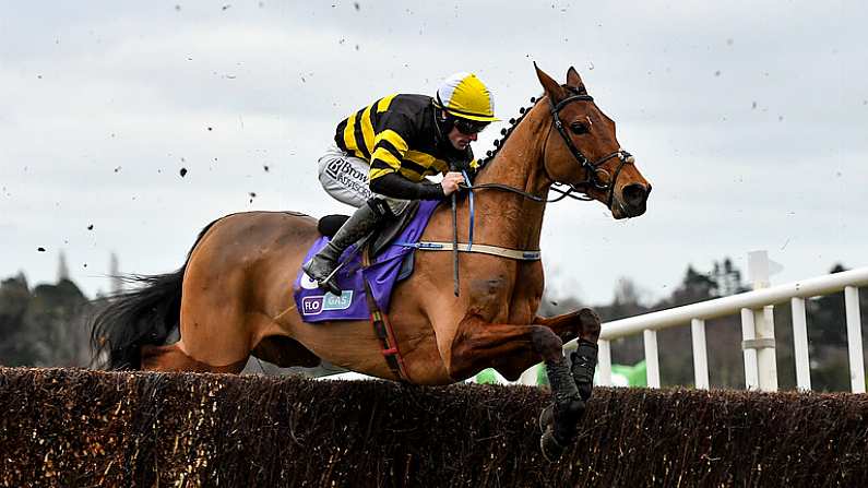 Two Horses To Eye An Eye On During The Mid-Week Irish Meetings