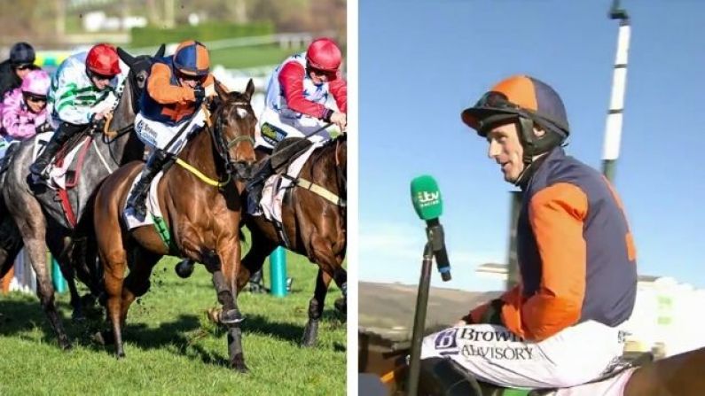 Wexford Jockey Flew Himself To Cheltenham For First Festival Winner