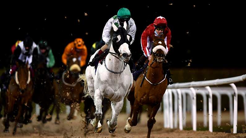 12 February 2021; Togoville, second from right, with Conor McGovern up, leads the field, including Porterinthejungle, right, with Luke McAteer up, during the Dundalkstadium.com Apprentice Handicap (Div 2) at Dundalk Racecourse in Louth. Photo by Harry Murphy/Sportsfile