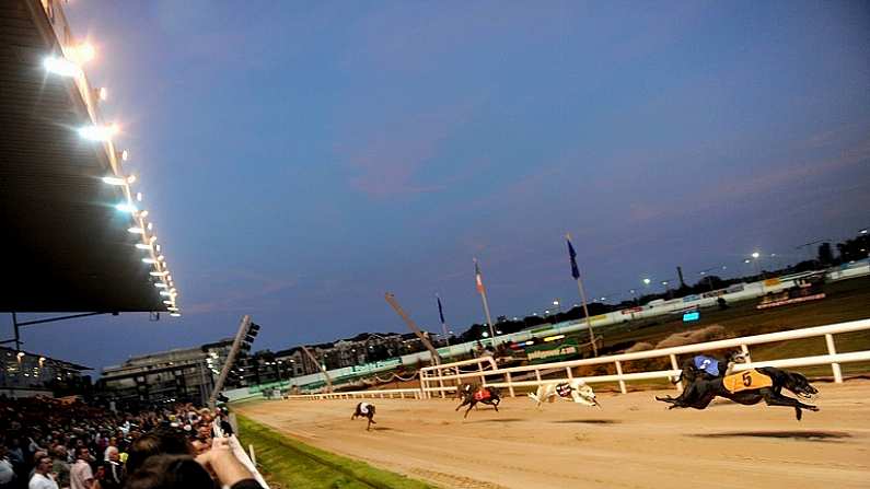 12 September 2009; A general view of the paddypower.com Open 750. Greyhound racing, Shelbourne Park, Dublin. Picture credit: Stephen McCarthy / SPORTSFILE