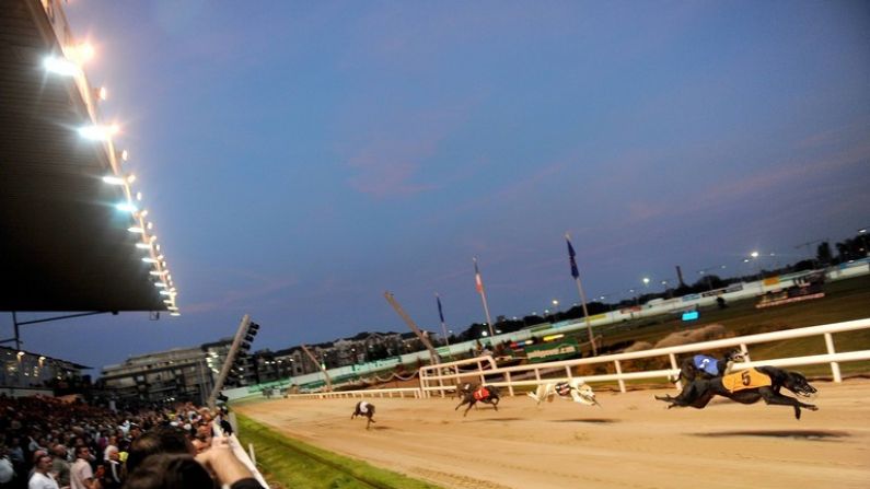 Shelbourne Park's First Meet Of 2021 Set To Build On Exciting Six Months