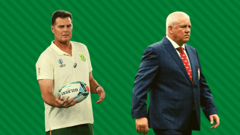 Rassie Erasmus Bizarrely Calls Out Warren Gatland In Twitter Replies Of Irish Newspaper