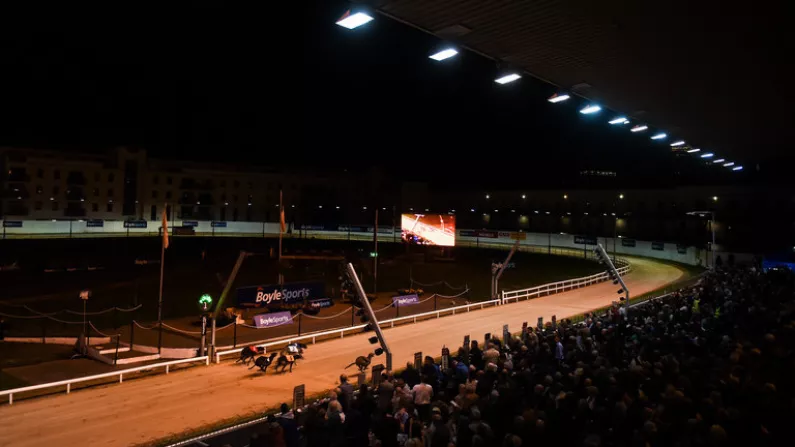Most Hectic Period Of 2021 Calendar About To Kick Into Gear At Shelbourne Park