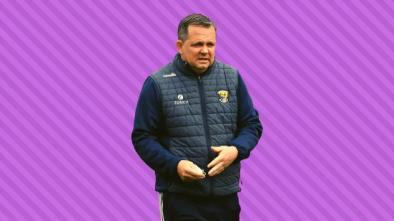 Davy Fitzgerald Is Unsure Of Inter-County Future After Wexford Exit