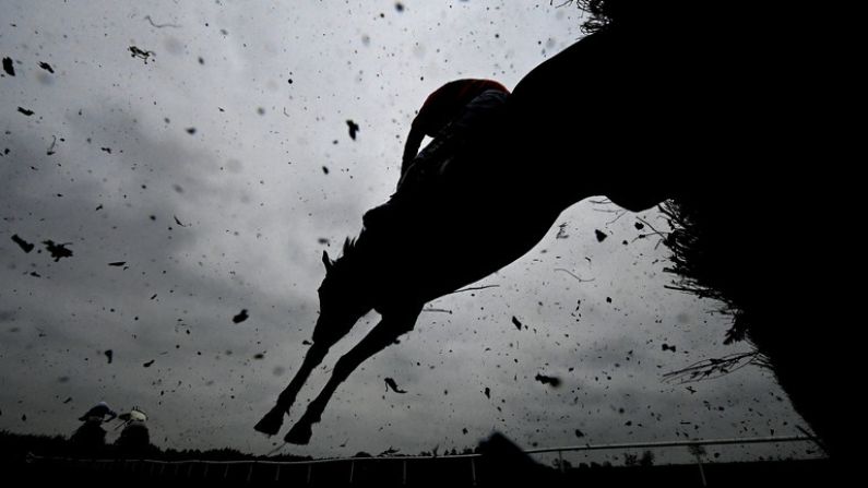 Oscar Thyne The Pick Of The Bunch For Clonmel Meet