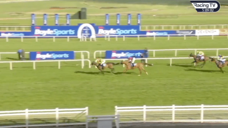 Watch: 150/1 Shot Pulls Off Massive Shock In Irish Grand National