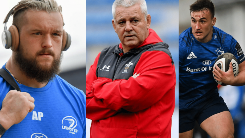 What The Lions Coaching Appointments Mean For Wannabe Irish Lions