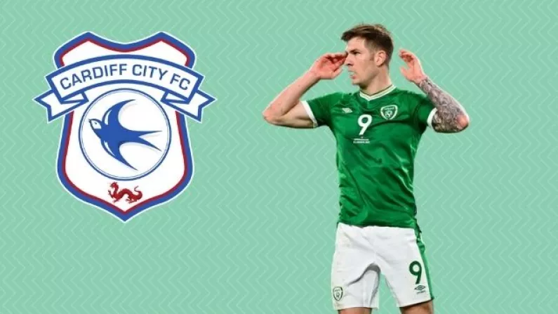 Cardiff Snap Up Ireland International Amid Considerable Interest