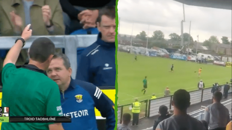 Davy Fitzgerald Sent Off For Sideline Antics As 14-Man Wexford Play Out Dramatic Antrim Draw