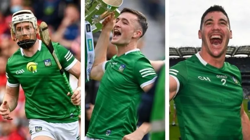 Limerick Trio Nominated For PwC GAA/GPA Hurler Of The Year