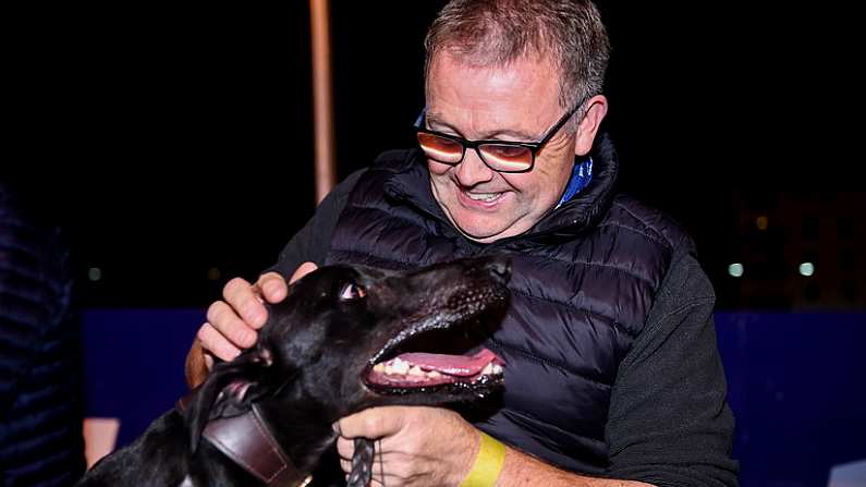 18 September 2021; Trainer Eoin McKenna celebrates with Susie Sapphire after winning the 2021 Boylesports Irish Greyhound Derby Final at Shelbourne Park in Dublin. Photo by Harry Murphy/Sportsfile