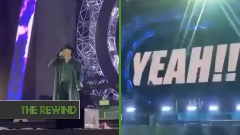 Watch: The Undertaker Introducing Pitbull At A Concert Is All Sorts Of Weird