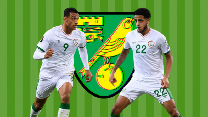 Farke Norwich Departure Leaves Irish Duo In Interesting Predicament