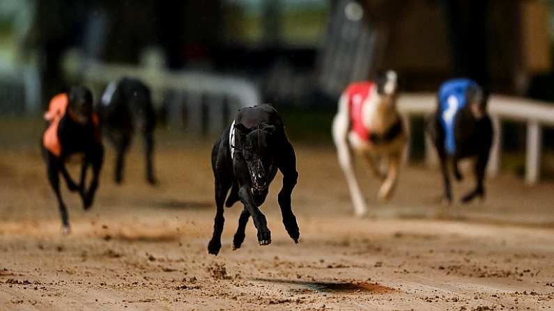 18 September 2021; Be A Hero, centre, on the way to winning the Boylesports Supporting Irish Sport 750 at Shelbourne Park in Dublin. Photo by Harry Murphy/Sportsfile