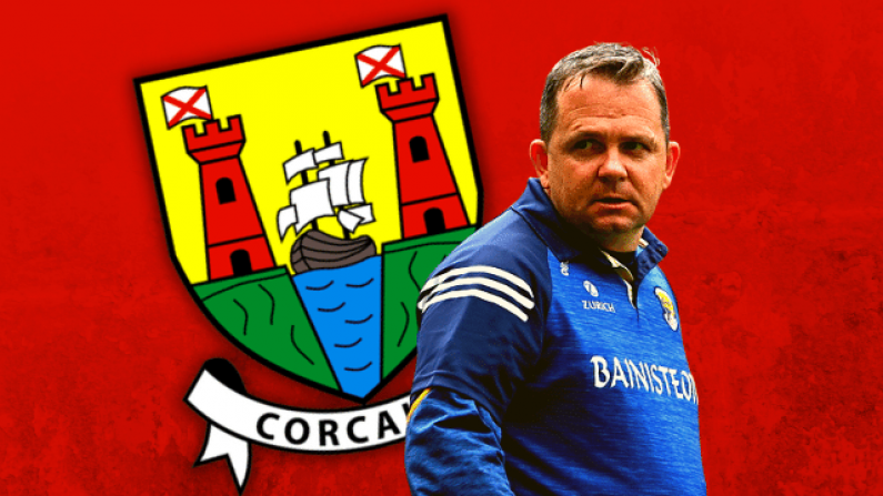 Davy Fitzgerald Clarifies His Role With The Cork Camogie Team