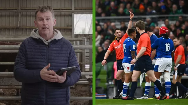 Nigel Owens Breakdowns Give Brilliant Explanations Of Complex Laws