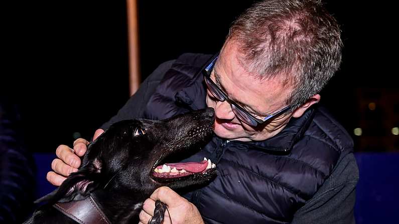 18 September 2021; Trainer Eoin McKenna celebrates with Susie Sapphire after winning the 2021 Boylesports Irish Greyhound Derby Final at Shelbourne Park in Dublin. Photo by Harry Murphy/Sportsfile