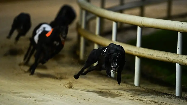 Tomorrow's Superstars Will Be Racing This Weekend In Limerick