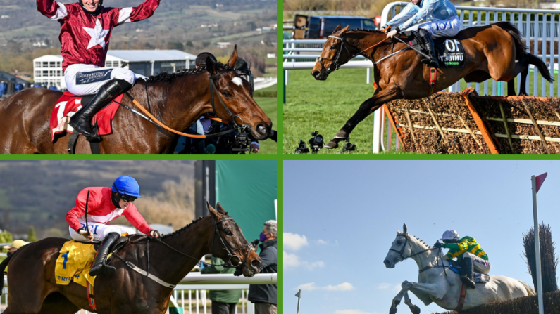 Cheltenham: The 20/1 Accumulator We're Getting Behind This Week