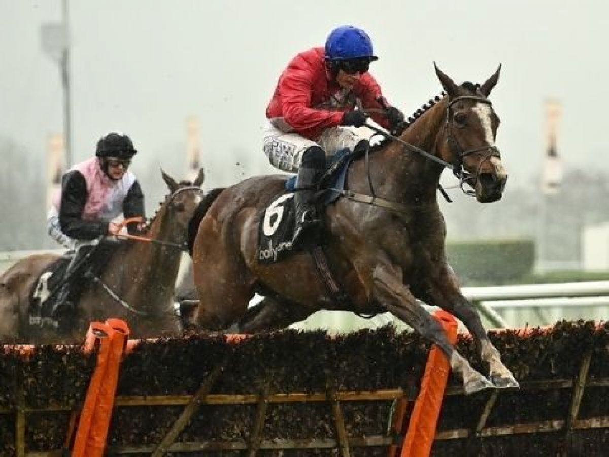 Henry De Bromhead Calls Out Matt Chapman After Honeysuckle Win