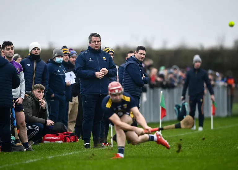 gordon d'arcy wexford hurlers backroom team