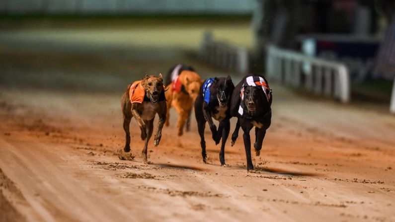 One Of Greyhound Racing's Superstars To Return To Shelbourne Park This Weekend