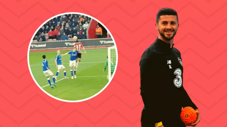 Ralph Hasenhuttl Sums Up Importance Of Shane Long Despite Lack Of Playing Time