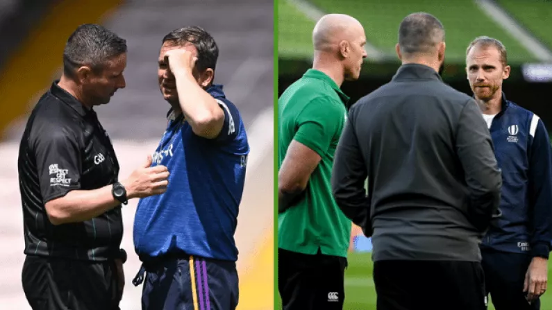 Davy Fitzgerald Calls For GAA To Follow Rugby's Refereeing Example