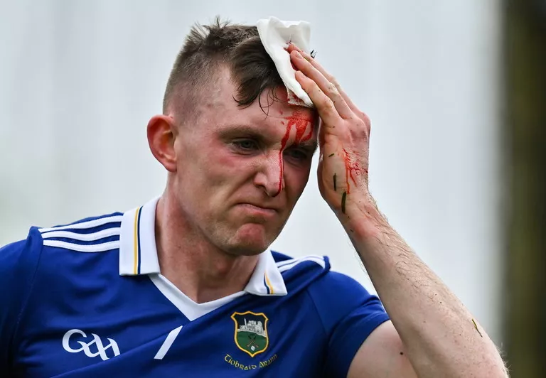 anthony daly mikey kiely red card seamus kennedy waterford tipperary