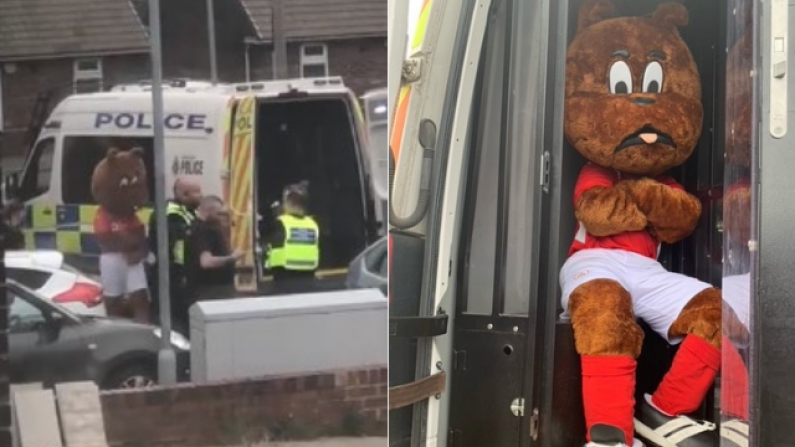 The Disappointing Reason Why The Barnsley Mascot Was 'Arrested'