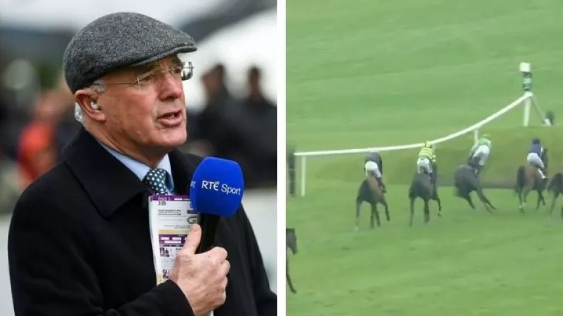 Ted Walsh Apologises For RTÉ Comments During Punchestown