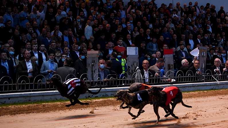 18 September 2021; Spectators look on during the Live Streaming on the Boylesports App 525 at Shelbourne Park in Dublin. Photo by Harry Murphy/Sportsfile