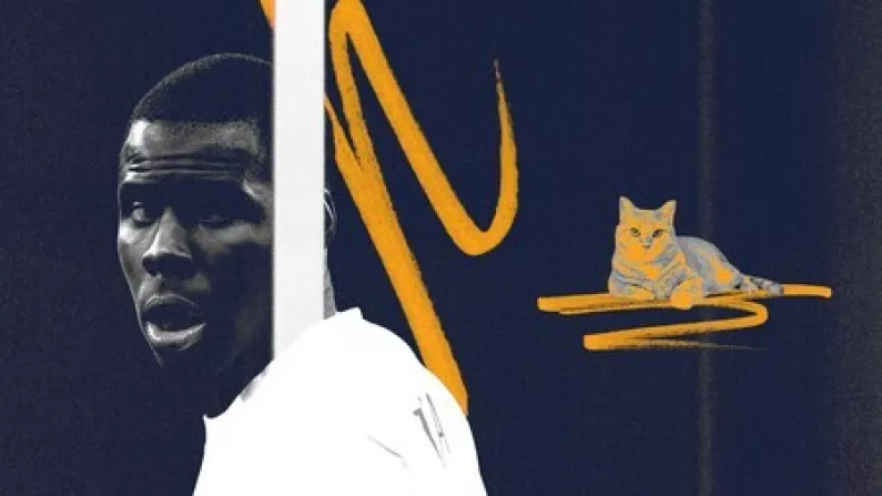 Kurt Zouma Banned From Owning A Cat For Five Years