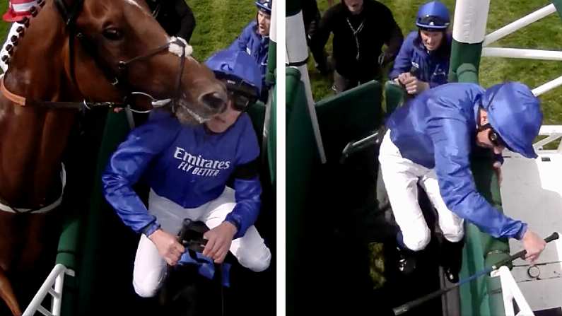 Epsom: Surreal Scenes As Horse Headbutts Jockey