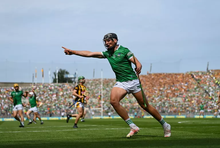 gearoid hegarty limerick hurling