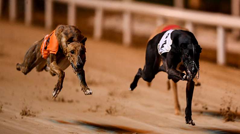 21 September 2019; Lenson Bocko, left, races next to Mucky Brae, on its way to winning race ten, The 2019 BoyleSports Irish Greyhound Derby Final during the 2019 Boylesports Irish Greyhound Derby at Shelbourne Park in Dublin. Photo by Harry Murphy/Sportsfile