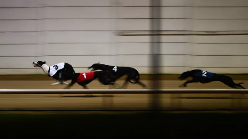 Irish Greyhound Derby Action Set To Heat Up At Shelbourne Park This Weekend
