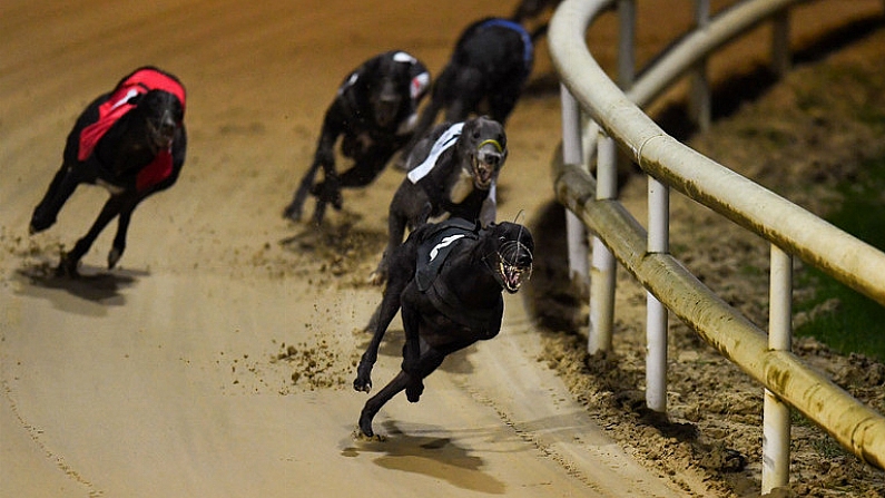 22 September 2018; Newhall Missile on its way to winning The 2018 Boylesports Consolation Derby Final 550 at Shelbourne Park in Dublin. Photo by Harry Murphy/Sportsfile