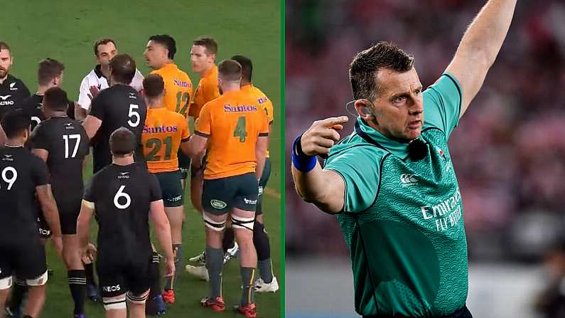 Nigel Owens Gives His Expert Take On Raynal's Hugely Controversial Call