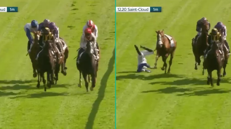 Watch: Belgian Jockey Apologises For Elbowing Rival Off Horse Mid-Race